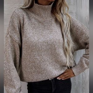 Turtleneck Sweater